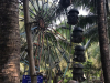 ศึกษาดูงานบริการ_190319_0031