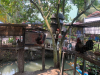 ศึกษาดูงานบริการ_190319_0056