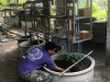 ศึกษาดูงานบริการ_190319_0060
