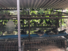 ศึกษาดูงานบริการ_190319_0066
