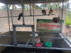 ศึกษาดูงานบริการ_190319_0072