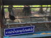 ศึกษาดูงานบริการ_190319_0079