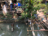ศึกษาดูงานบริการ_190319_0083
