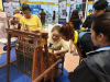งาน RT'62_190705_0063