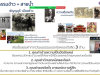 รายงานความก้าวหน้าทุนวัฒนธรรม_03-040622 (3)