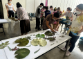 กจ.3 อพ.สธ._08-090623 (13)