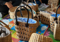 ลง พ.ท. เทศบาลตำบลบางเตย_04-050124 (6)