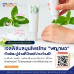 เจลฟิล์มสมุนไพรไทย “พญายอ”