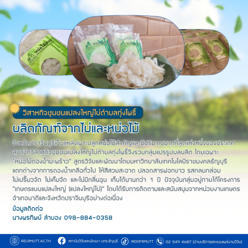 วิสาหกิจชุมชนแปลงใหญ่ไผ่ตำบลทุ่งโพธิ์